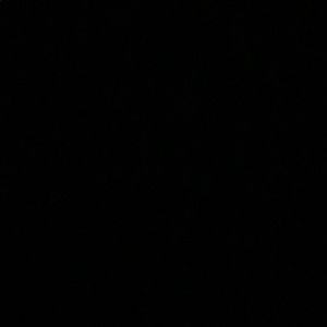 Meet your Posher, Fiona